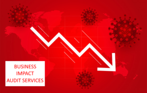Business Impact Audit Services